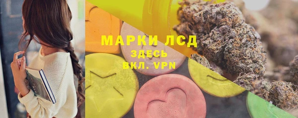 винт Алзамай