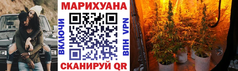 МАРИХУАНА семена Карабулак